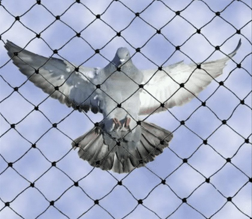 Shubham Bird Netting Services in Pune